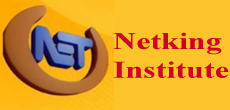 Netking institute