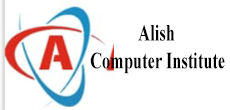Alish Computer